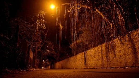 Blue Cross Road, Besant Nagar, Chennai