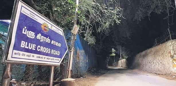 Blue Cross Road, Chennai