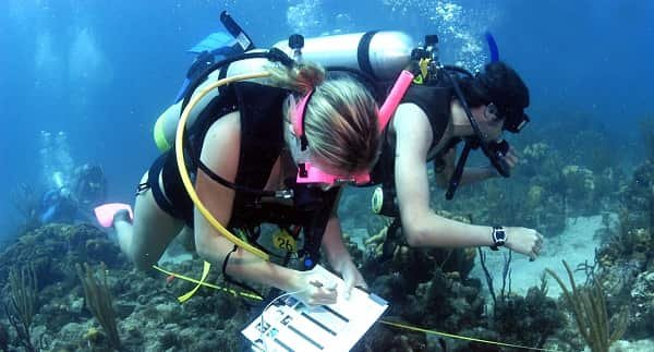 Marine Biologist